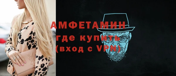 индика Верея