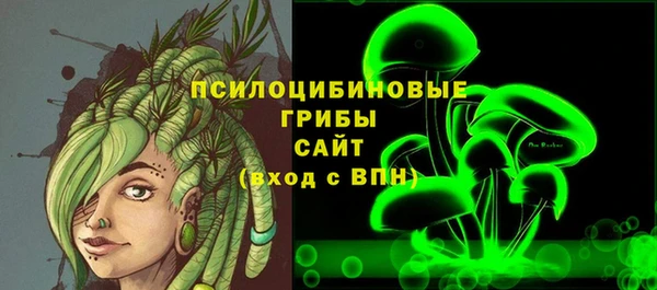 spice Снежинск