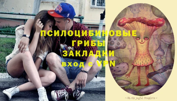 spice Снежинск